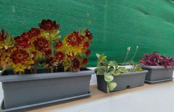 Casa Robles, casa con piscina y barbacoa - Photo 30