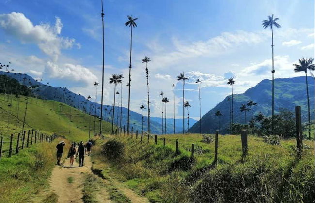 Visite de Salento et de la vallée de Cocora - Photo 1