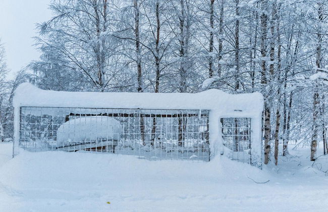 Keskiniemi - Foto 23