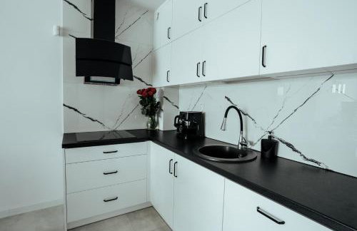 Apartamenty Z Widokiem Na Mazury Jezioro Czos Sauna Jacuzzi - Foto 13