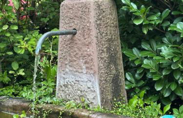 Kant-Haus - Photo 16