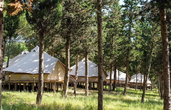 DOMA Portugal - Foto 11