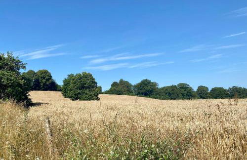 Home in Champagnac La Riviere with shared pool - Foto 9