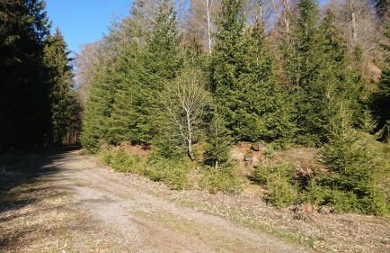 Gästehaus Ballmann 2 - Foto 23