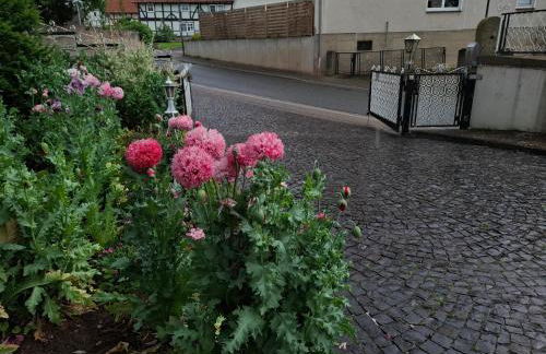 Ferienhaus Stani - Foto 23