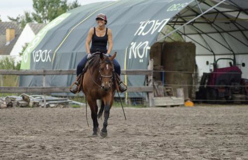 W Diamonds Ranch - Photo 10