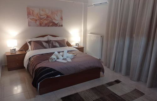 SOUROTI Pinios House - Photo 19