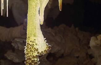 Casa Rural Casa Puntes - Photo 19