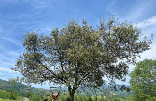 Country loft Zarautz- San Sebastián - Foto 17