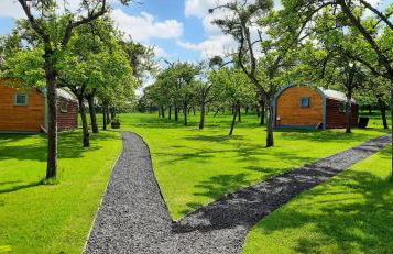 Orchard Farm Luxury Glamping and Campsite - Photo 30