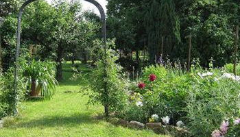 Gästehaus Winzerhof Bader - Foto 3