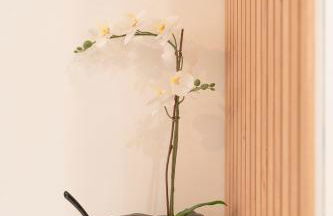 Hyper centre - Très bien équipé - Foto 20