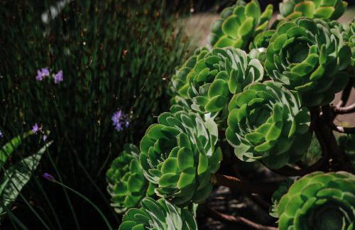 Manor Court - Foto 31