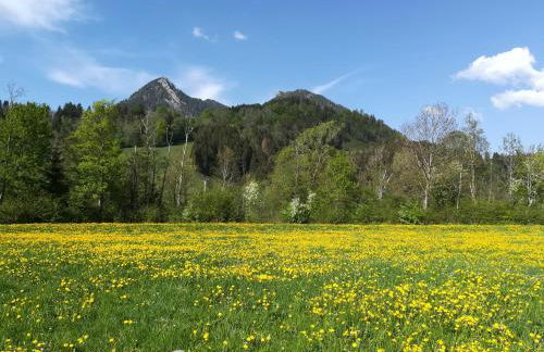 Ferienwohnung Haus Josefa - Photo 9