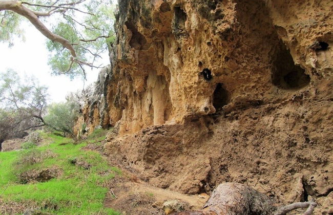 Lands Edge - Photo 24