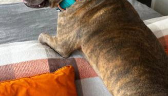 The Den - Modern cabin with wood burning stove - Foto 3