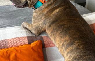 The Den - Modern cabin with wood burning stove - Foto 3