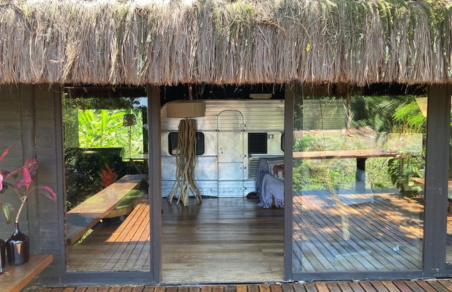 Rainforest Paradise - Foto 15