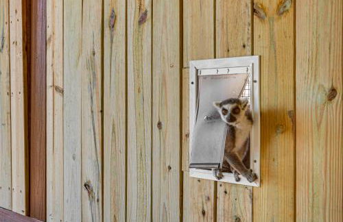 Sleep With Sloths and Lemurs! Modern Webster Home - Foto 22