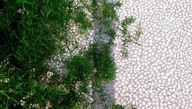 Castle Rooms - Foto 2