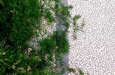 Castle Rooms - Foto 2