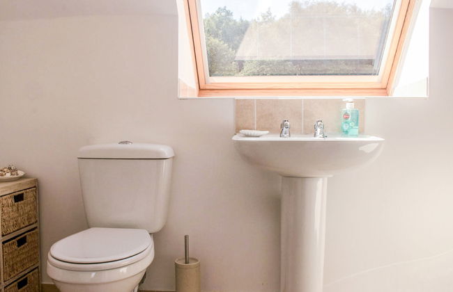 Old School - Photo 18