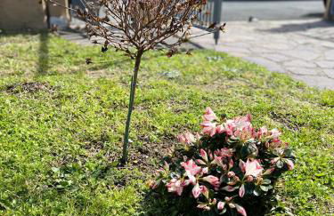 CASA MIA MALVA - Photo 42