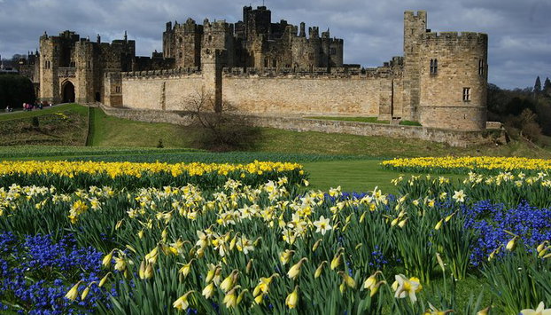 Castelo de Alnwick de 1 dia, Ilha Sagrada e Fronteiras Escocesas - Foto 3, Castelo de Alnwick