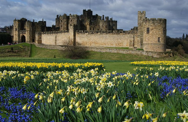 Castello di Alnwick di 1 giorno, Holy Island e Scottish Borders - Foto 3