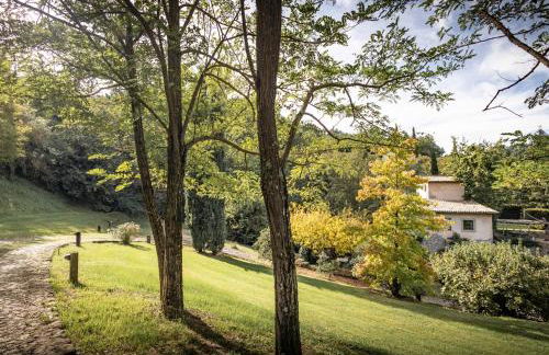 IL Mulino, hotel, farm villa, nature, swimming pool, Vitorchiano - Foto 6