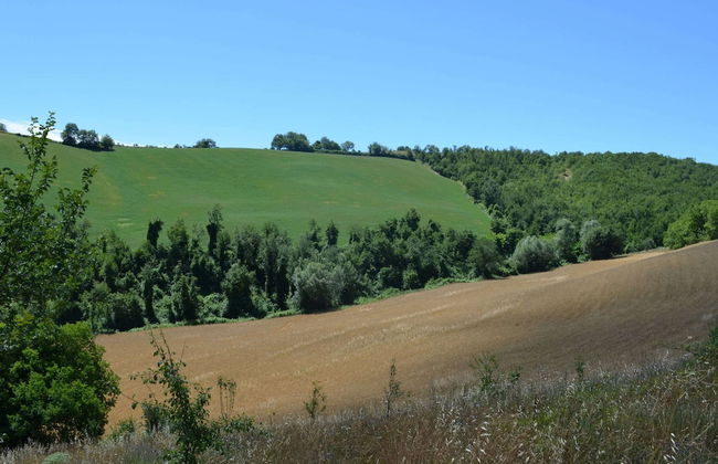 Cozy Couples Getaway w/ Wifi - Foto 27