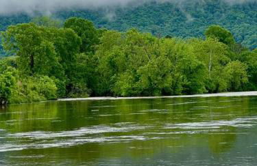 Historic 1818 Riverfront Cottage - Foto 22