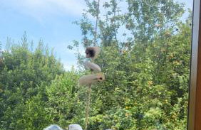 Villa Roz Granit Perros-Guirec - Foto 21