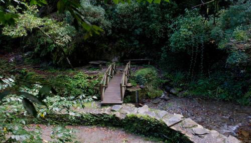 Piódão Casa do Rosmaninho TER - Foto 3