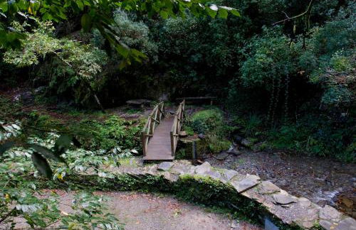 Piódão Casa do Rosmaninho TER - Foto 3