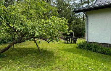 Zdzisiówka - Foto 41