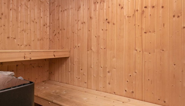 5 Star Holiday Home in Lemvig - Foto 3, Sauna