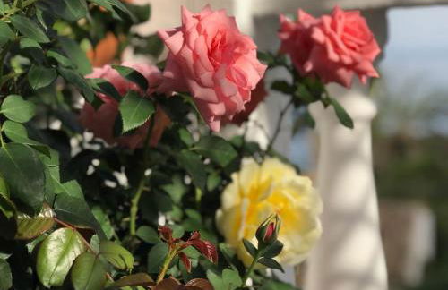 Luxury Sea Home&Terrace - Photo 6