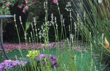 Starosądecki zakątek - Foto 9