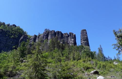 Ferienwohnung Familie Frank - Foto 43