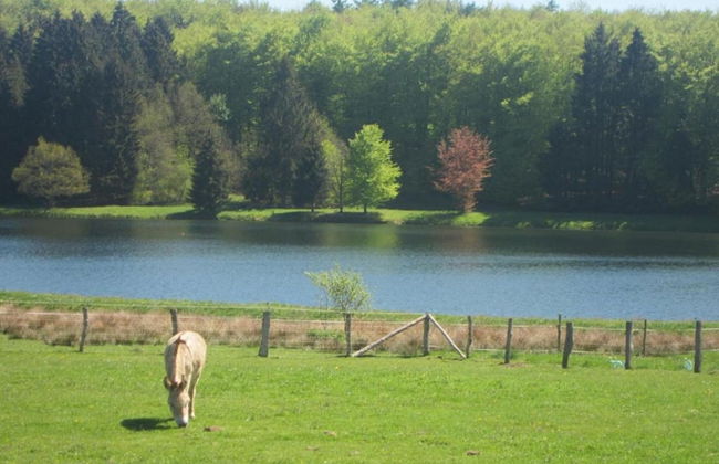 Unique Holiday Home with Pool near Park & Ski Area - Photo 33