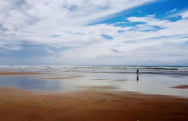 Le Ptit Vertbois - Foto 14