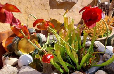 Ferienhaus Nr 2 - Das kleine Haus im Haus - Foto 24