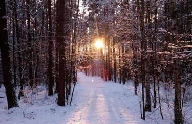 Kamińsko, Puszcza Zielonka, dom nad jeziorem - Foto 13