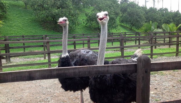 Panaca Park with Private Transportation - Foto 3