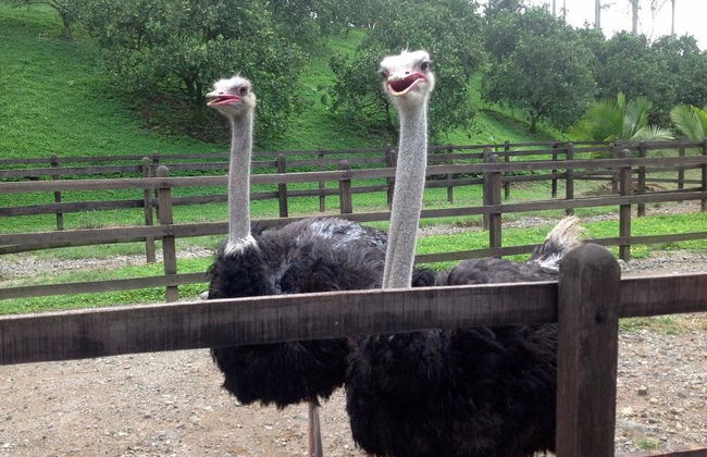 Panaca Park with Private Transportation - Foto 3