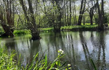 Moulin de Janlard - Foto 18