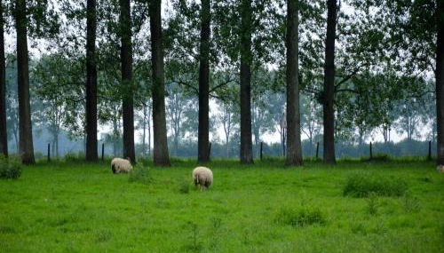 Holiday Home in a Historic Building Near Montreuil - Foto 4