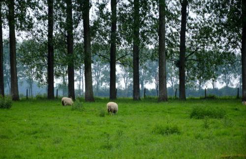 Holiday Home in a Historic Building Near Montreuil - Foto 4