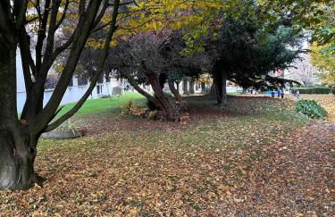 Champions Deluxe - Foto 16